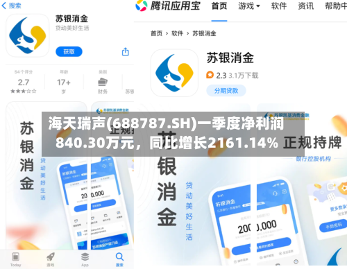 海天瑞声(688787.SH)一季度净利润840.30万元，同比增长2161.14%-第1张图片