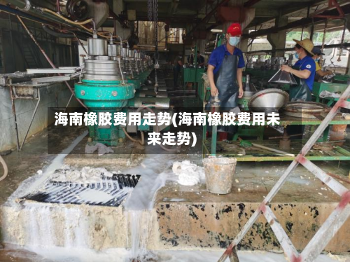 海南橡胶费用走势(海南橡胶费用未来走势)-第1张图片