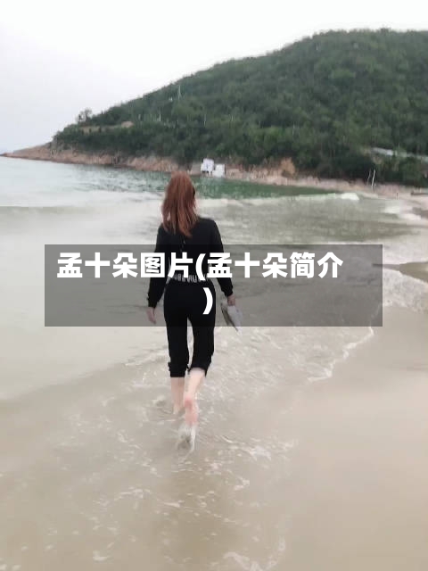 孟十朵图片(孟十朵简介)-第3张图片