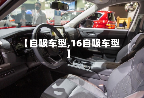【自吸车型,16自吸车型】-第3张图片