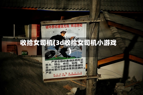 收拾女司机(3d收拾女司机小游戏)-第1张图片