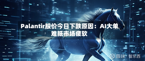 Palantir股价今日下跌原因：AI大单难抵市场疲软-第1张图片