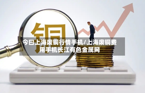 今曰上海废铜行情手机/上海废铜费用手机长江有色金属网-第2张图片