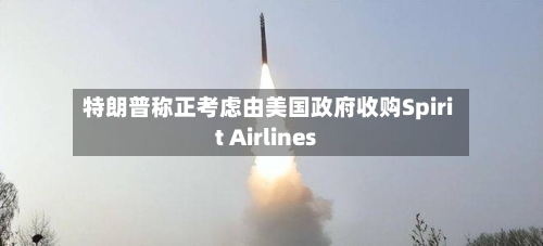特朗普称正考虑由美国政府收购Spirit Airlines-第2张图片