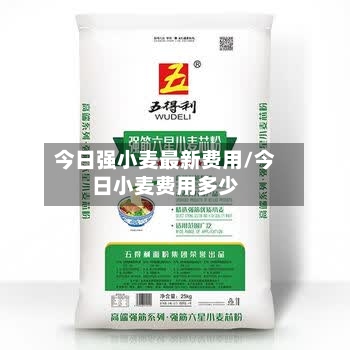 今日强小麦最新费用/今日小麦费用多少-第1张图片