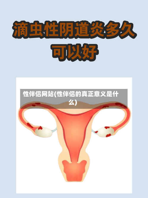 性伴侣网站(性伴侣的真正意义是什么)-第3张图片