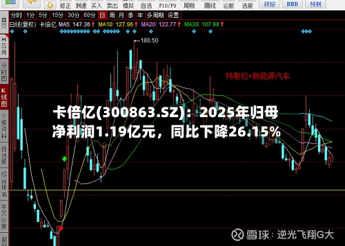 卡倍亿(300863.SZ)：2025年归母净利润1.19亿元	，同比下降26.15%-第1张图片