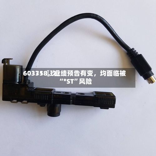 60335〖玖〗、603718，业绩预告有变，均面临被“*ST”风险-第2张图片