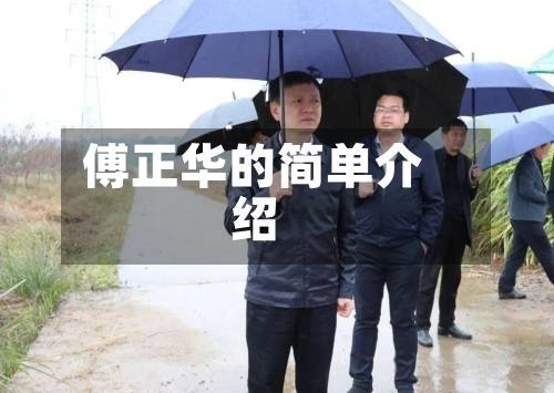 傅正华的简单介绍-第3张图片