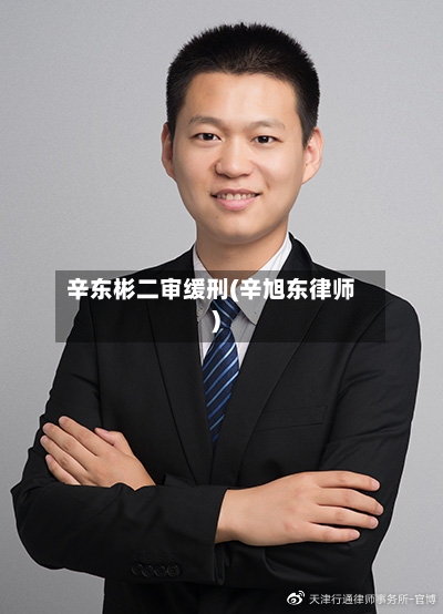 辛东彬二审缓刑(辛旭东律师)-第1张图片