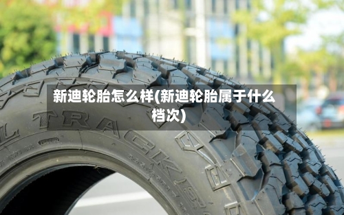 新迪轮胎怎么样(新迪轮胎属于什么档次)-第1张图片
