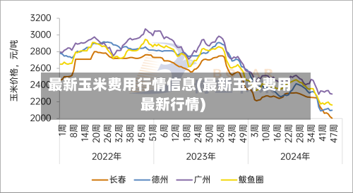 最新玉米费用行情信息(最新玉米费用最新行情)-第3张图片