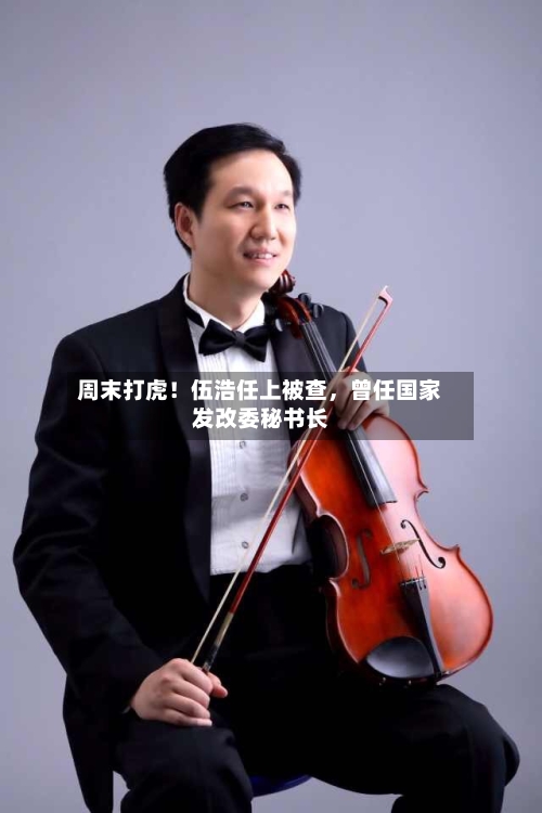 周末打虎！伍浩任上被查，曾任国家发改委秘书长-第1张图片