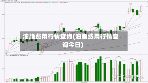 油脂费用行情查询(油脂费用行情查询今日)-第3张图片