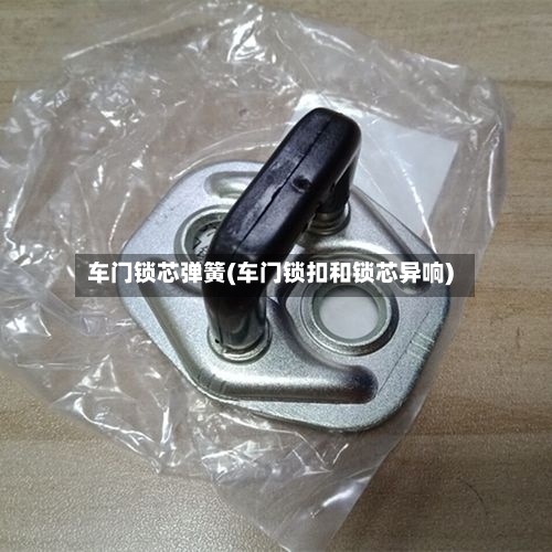 车门锁芯弹簧(车门锁扣和锁芯异响)-第2张图片