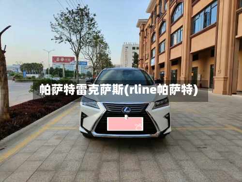 帕萨特雷克萨斯(rline帕萨特)-第3张图片