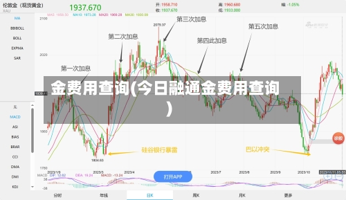 金费用查询(今日融通金费用查询)-第1张图片