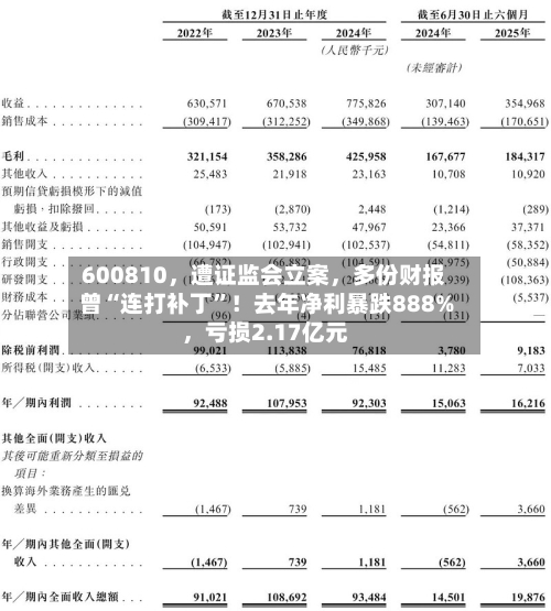 600810	，遭证监会立案，多份财报曾“连打补丁”！去年净利暴跌888%，亏损2.17亿元-第1张图片