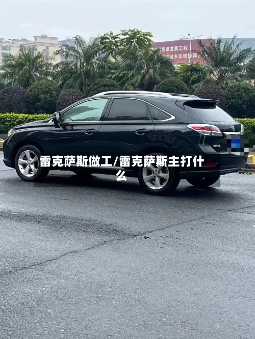 雷克萨斯做工/雷克萨斯主打什么-第2张图片