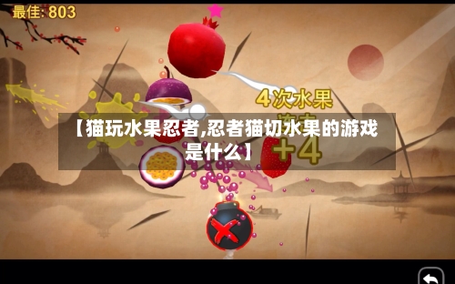 【猫玩水果忍者,忍者猫切水果的游戏是什么】-第1张图片