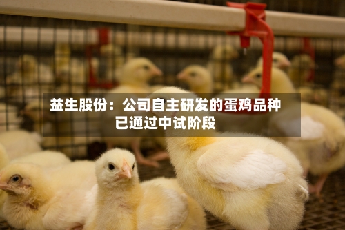 益生股份：公司自主研发的蛋鸡品种已通过中试阶段-第1张图片