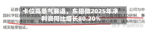 卡位高景气赛道，东田微2025年净利润同比增长80.20%-第3张图片