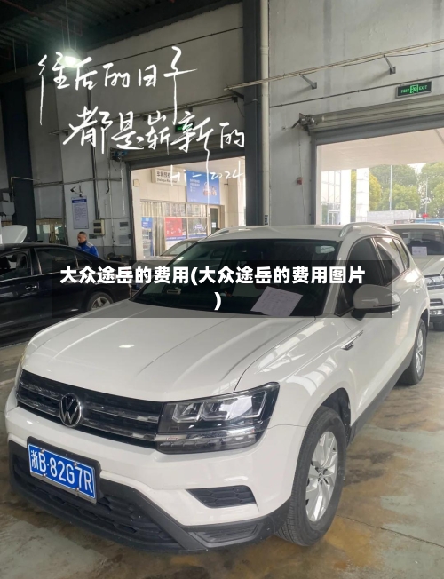 大众途岳的费用(大众途岳的费用图片)-第2张图片