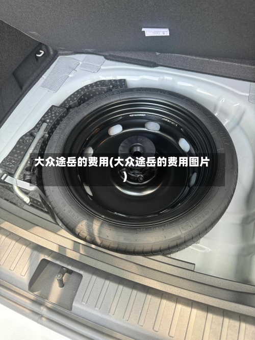 大众途岳的费用(大众途岳的费用图片)-第3张图片