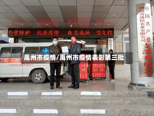 禹州市疫情/禹州市疫情表彰第三批-第1张图片