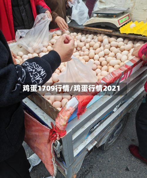 鸡蛋1709行情/鸡蛋行情2021-第1张图片