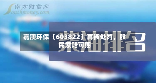 嘉澳环保（603822）再被处罚，股民索赔可期-第2张图片