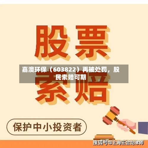 嘉澳环保（603822）再被处罚	，股民索赔可期-第3张图片