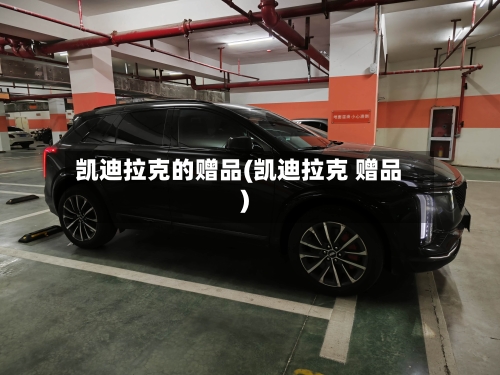 凯迪拉克的赠品(凯迪拉克 赠品)-第2张图片