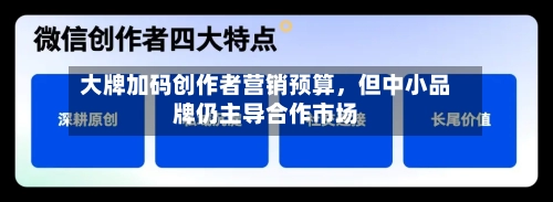 大牌加码创作者营销预算，但中小品牌仍主导合作市场-第1张图片