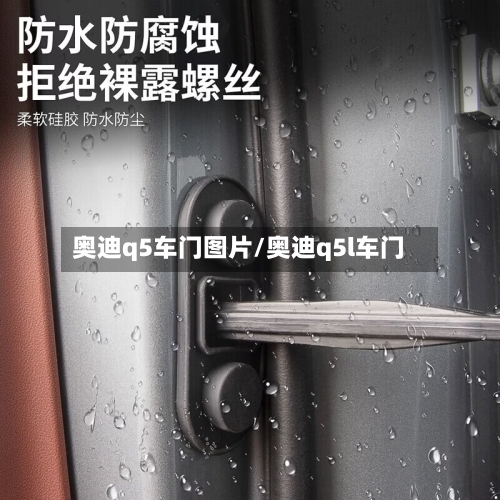 奥迪q5车门图片/奥迪q5l车门-第2张图片