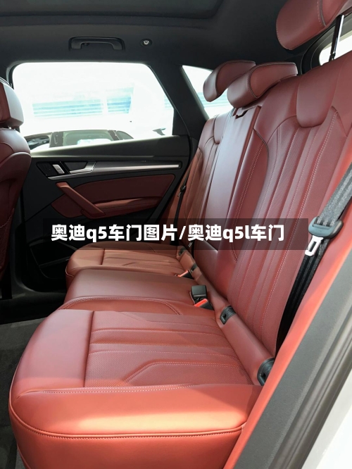 奥迪q5车门图片/奥迪q5l车门-第3张图片