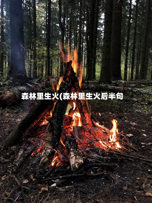 森林里生火(森林里生火后半句)-第2张图片