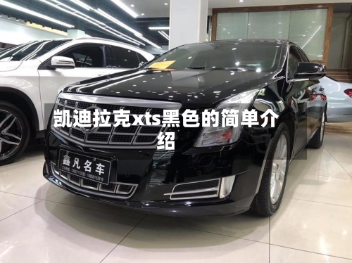 凯迪拉克xts黑色的简单介绍-第3张图片