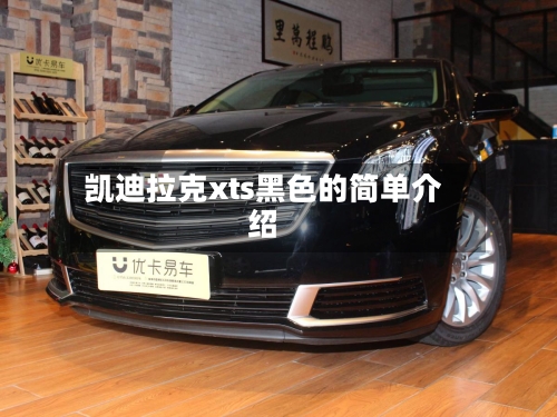 凯迪拉克xts黑色的简单介绍-第2张图片