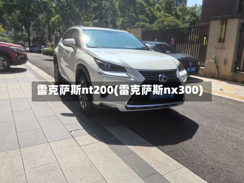 雷克萨斯nt200(雷克萨斯nx300)-第3张图片