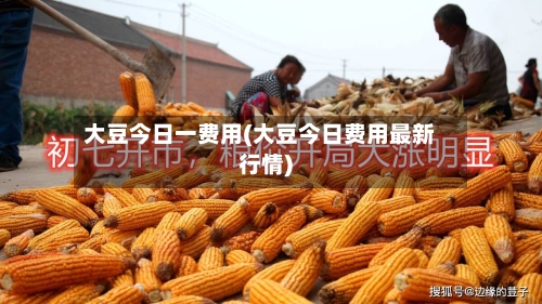 大豆今日一费用(大豆今日费用最新行情)-第2张图片