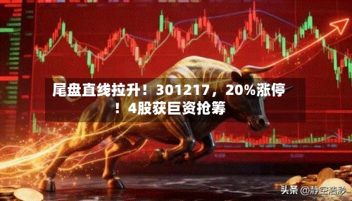 尾盘直线拉升！301217，20%涨停！4股获巨资抢筹-第1张图片