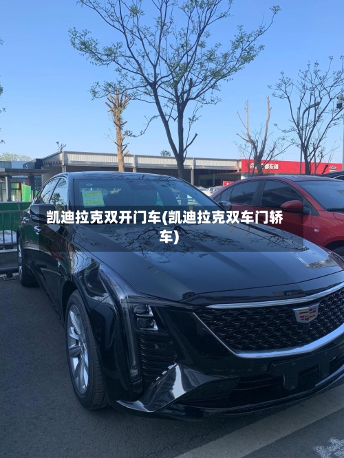 凯迪拉克双开门车(凯迪拉克双车门轿车)-第1张图片