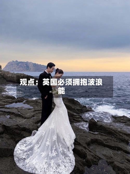 观点：英国必须拥抱波浪能-第3张图片