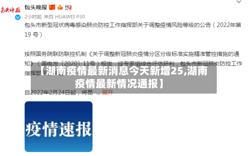【湖南疫情最新消息今天新增25,湖南疫情最新情况通报】-第2张图片