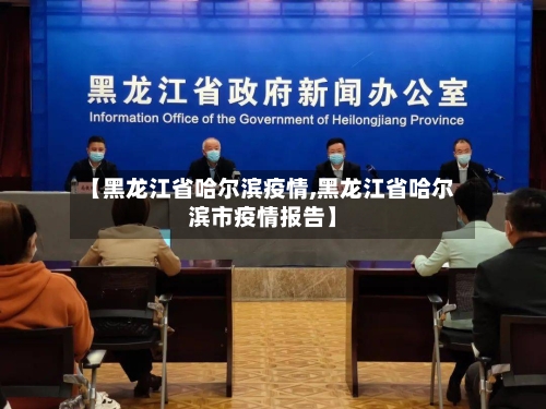 【黑龙江省哈尔滨疫情,黑龙江省哈尔滨市疫情报告】-第3张图片