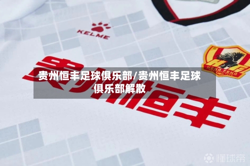 贵州恒丰足球俱乐部/贵州恒丰足球俱乐部解散-第1张图片