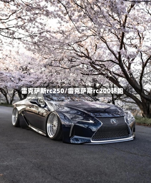 雷克萨斯rc250/雷克萨斯rc200轿跑-第3张图片