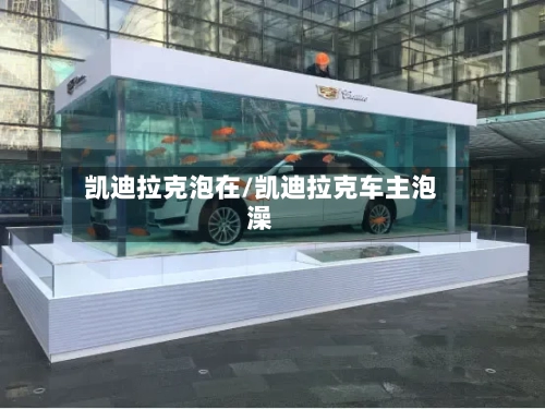 凯迪拉克泡在/凯迪拉克车主泡澡-第2张图片