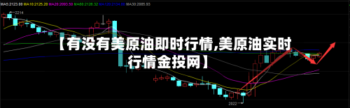 【有没有美原油即时行情,美原油实时行情金投网】-第2张图片